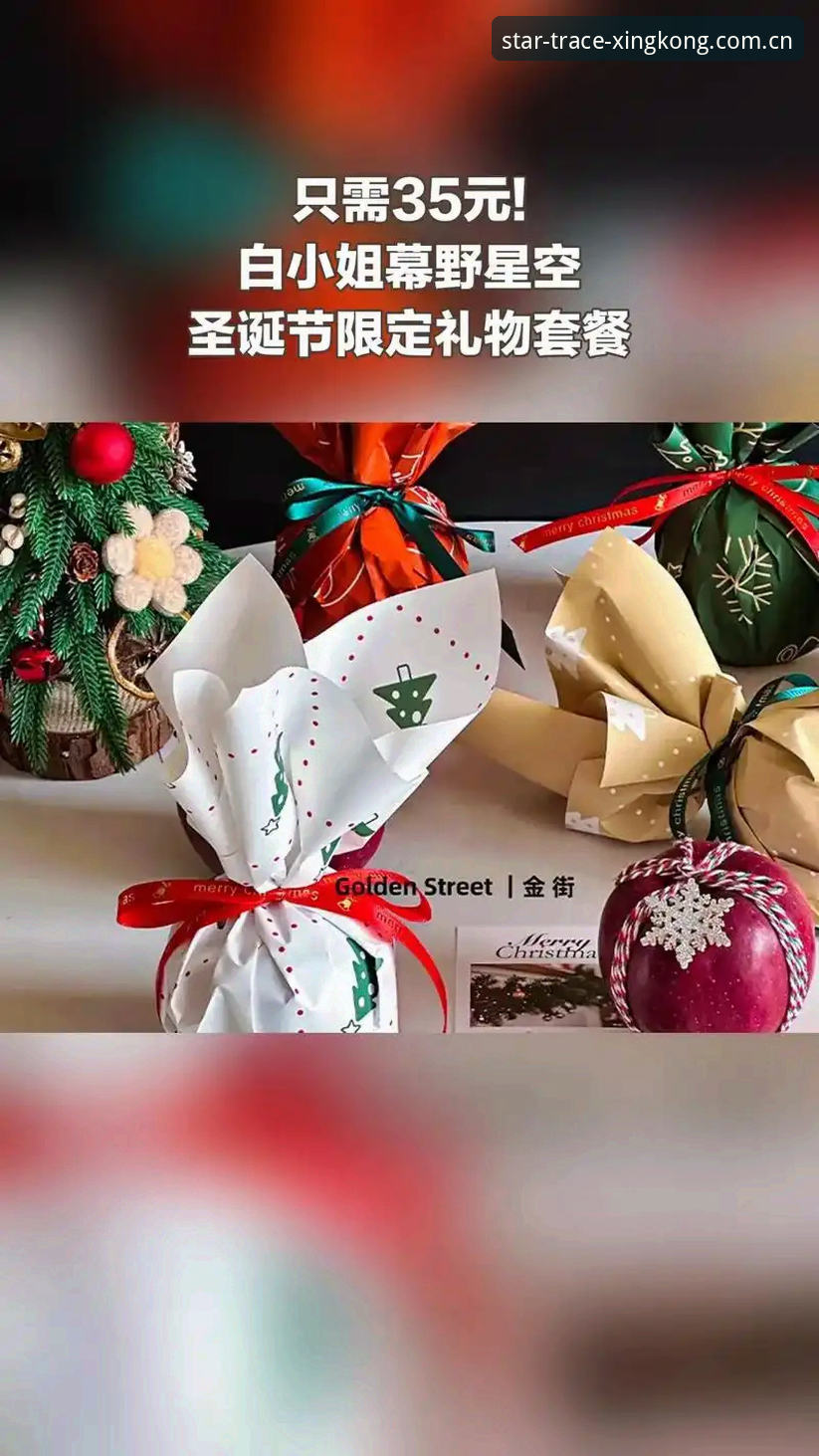 上周朋友小赵发来一条链接，说是花了大价钱买的“星空会员套餐”，让我帮他验验真伪。我打开那个网站，域名是rbhn.cc，页面做得有模有样，界面风格跟正版几乎一致。但我总觉着不对——再好的仿冒品，也经不起你用对了方法去戳一下。